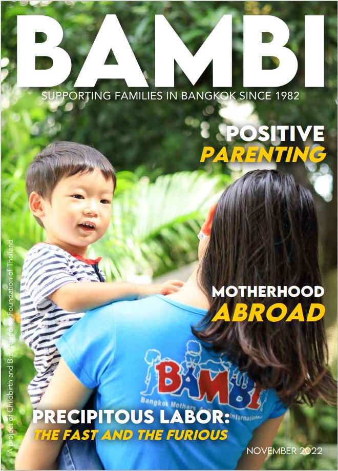 Cover of BAMBI Magazine November 2022 issue