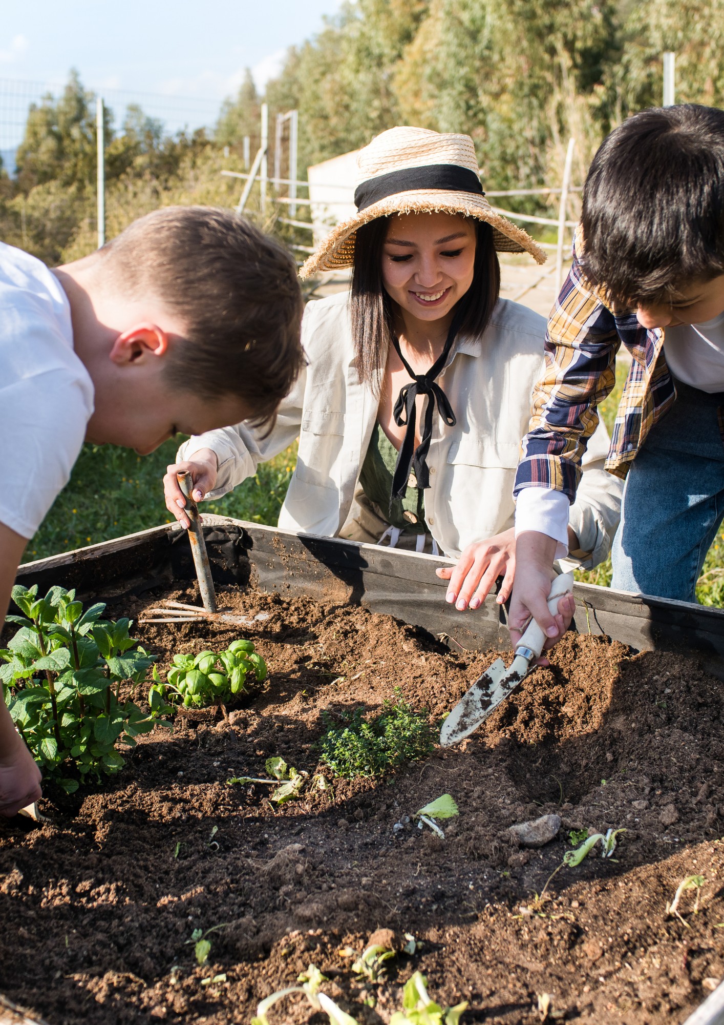 Children garden