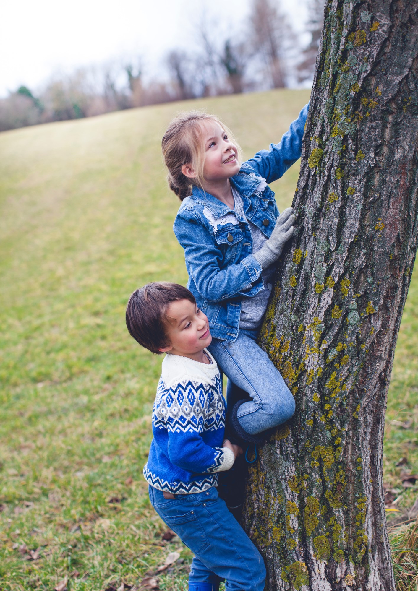 A child climbs a tree with the help of a friend