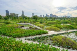 Bangkok landscape