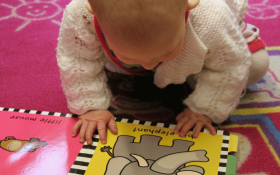 Baby reading a picture book