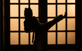 A shadow of a girl practicing martial arts.