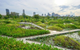 Bangkok landscape