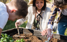 Children garden
